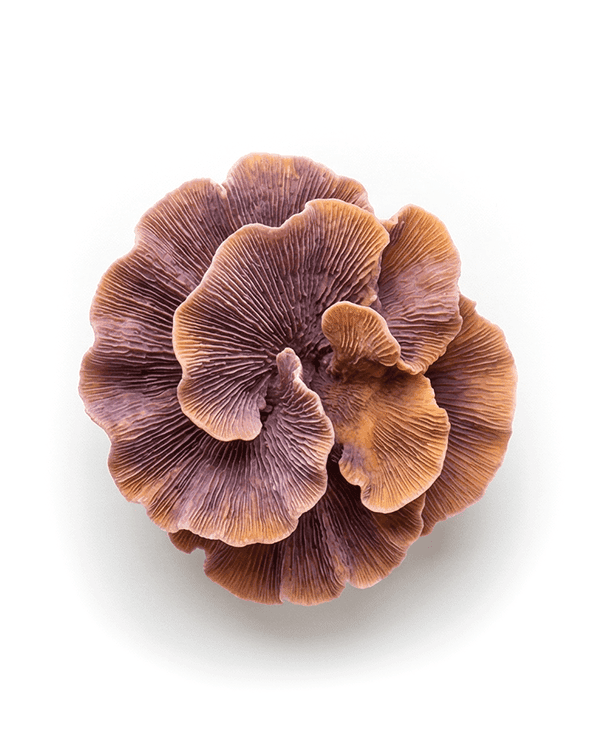 AI product and experience design