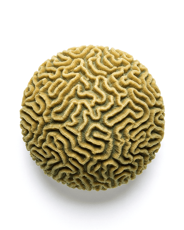 Map AI to your business