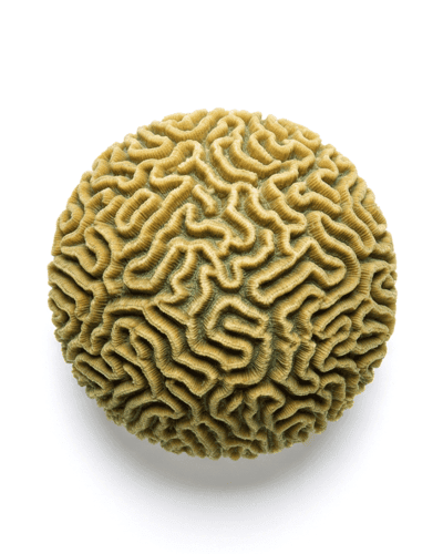 Map AI to your business